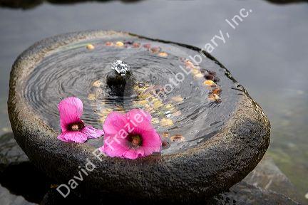 Fountain with flowers in the Sacred Garden at the Mission San Juan Capistrano, California, USA.