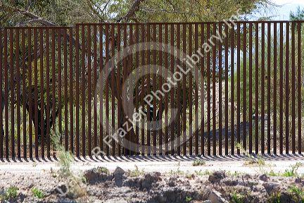 Fence at the U.S./Mexico border along the All American Canal near Calexico, California.