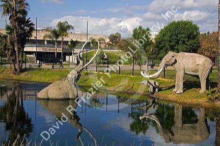 Models of mammoths at the La Brea Tar Pits in Hancock Park, Los Angeles, California, USA.