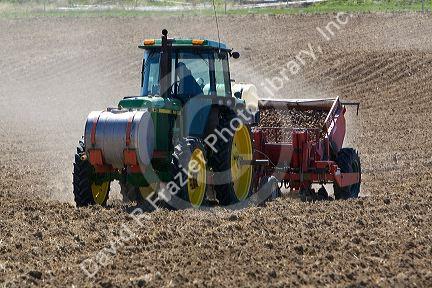 Farmer planting potato crop in Canyon County, Idaho, USA.