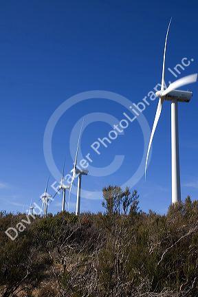 Wind turbines on Tecate Divide between El Centro and San Diego, Southern California, USA.