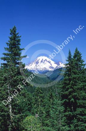 Mount Rainier in Washington.