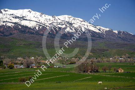 Pasture with horse grazing below the Wasatch Mountain Range near Peterson, Utah, USA.