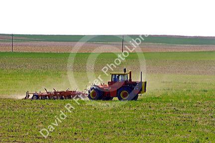 Tractor tilling spring crops at Seibert, Colorado, USA.