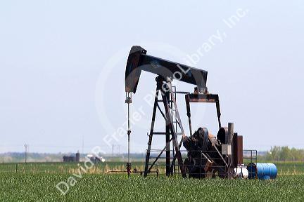 Oil well pumpjack in Russell County, Kansas, USA.