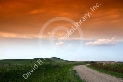 Konza Prairie Biological Station is a preserve of native tallgrass prairie in the Flint Hills of northeastern Kansas, USA.
