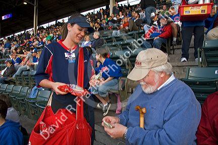 Female vendor selling peanuts during a Cubs baseball game at Wrigley Field in Chicago, Illinois, USA.