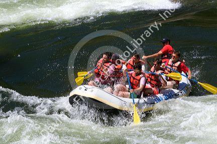 Whitewater rafting the main Payette River in southwestern Idaho, USA.