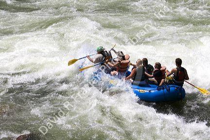 Whitewater rafting the main Payette River in southwestern Idaho, USA.