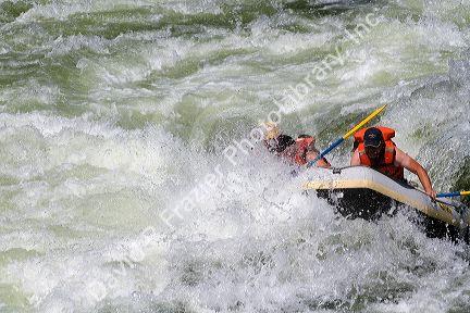 Whitewater rafting the main Payette River in southwestern Idaho, USA.