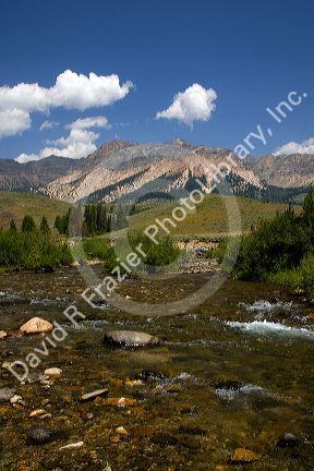 The Big Wood River and the Pioneer Mountains near Sun Valley, Idaho, USA.