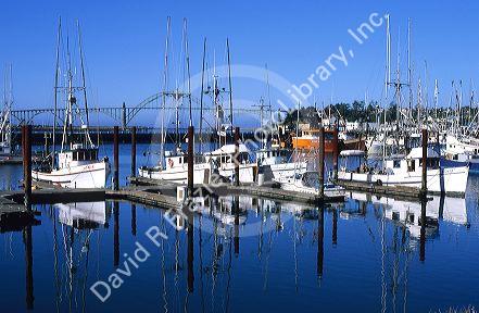 Fishing boats docked at Newport, Oregon.