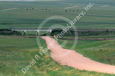 Country road in the eastern Colorado plains.