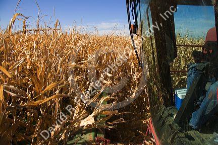 Combine corn harvester with computer and GPS in Ada County, Idaho.