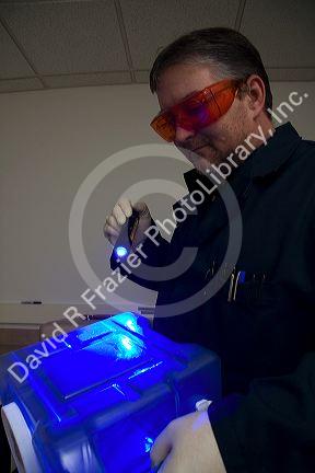 Fingerprint analyst using a colored light source to illuminate fingerprints on forensic evidence in a crime laboratory.