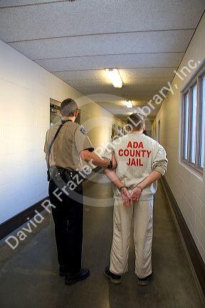 Handcuffed inmate being escorted to a holding cell in a jail.