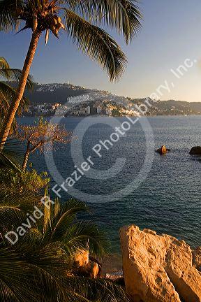 Acapulco Bay and palm tree at Acapulco, Guerrero, Mexico.