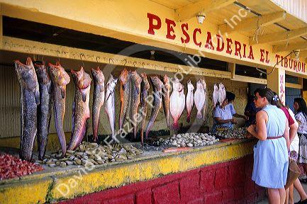Fish market at Valparaiso, Chile.