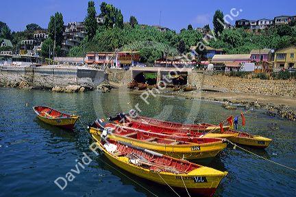 Fishing boats anchored at Valpariso, Chile.