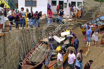 Fishermen unload their boats at Concon, Valparaiso, Chile.