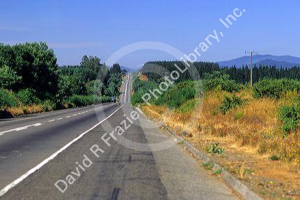 The Pan-American Highway near Temuco, Chile.