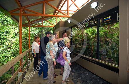 Tourists at the Veragua Rainforest Research and Adventure Park near Limon, Costa Rica.