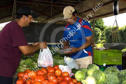 Outdoor produce market at Venecia, Costa Rica.