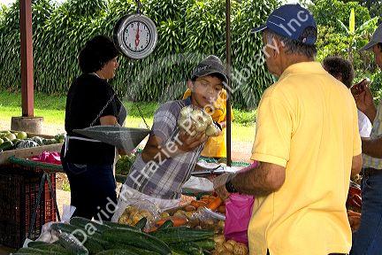 Outdoor produce market at Venecia, Costa Rica.