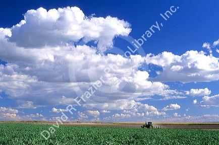 Tractor tilling a field in southwest Idaho.