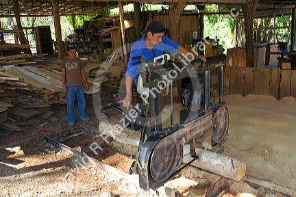 Workers at a sawmill near Samara, Costa Rica.