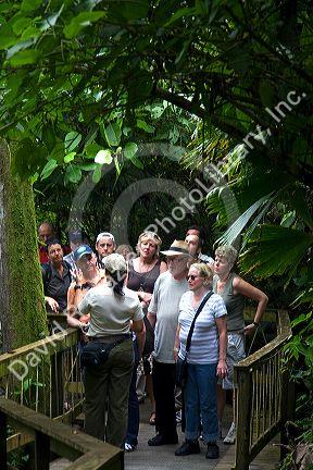 Tourists walk through the Veragua Rainforest Research and Adventure Park near Limon, Costa Rica.