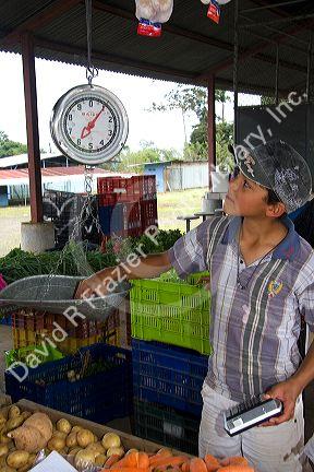 Outdoor produce market at Venecia, Costa Rica.