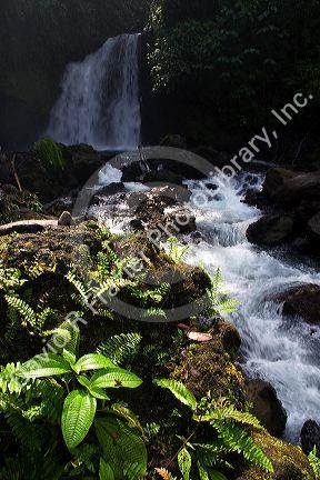 Scenic waterfall in the Arenal Volcano National Park near La Fortuna, San Carlos, Costa Rica.