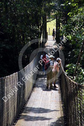 Danta suspension footbridge in the Arenal Volcano National Park near La Fortuna, San Carlos, Costa Rica.