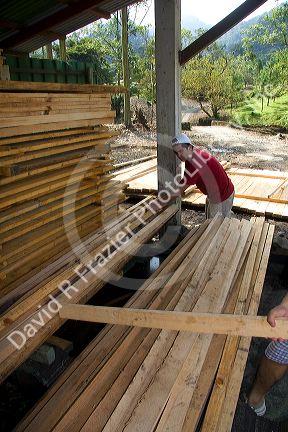 Workers at a sawmill cutting lumber in the Arenal Volcano National Park near La Fortuna, San Carlos, Costa Rica.