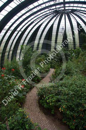Butterfly gardens in the Selvatura Adventure Park located in the Cloud Forest of Monteverde, Costa Rica.