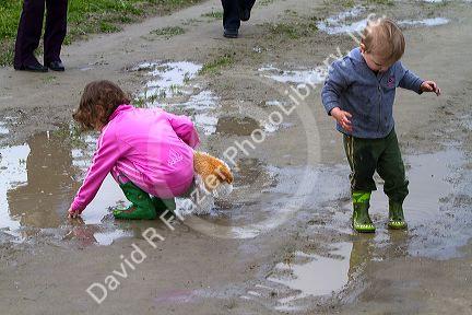 Children play in mud puddles at Skagit Valley, Washington, USA.