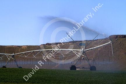 Center-pivot irrigation at King Hill, Idaho, USA.