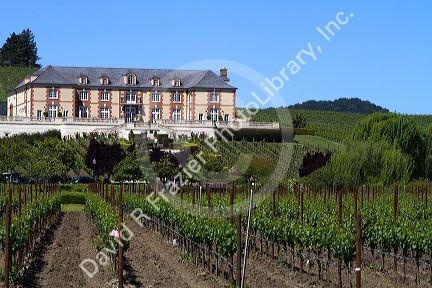 Domaine Carneros Winery and vineyards in the Napa Valley, California, USA.