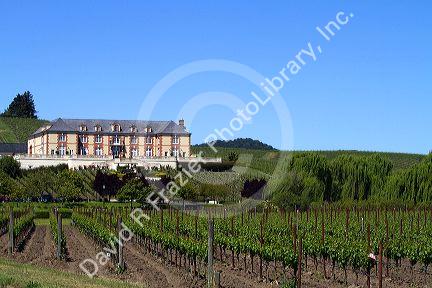 Domaine Carneros Winery and vineyards in the Napa Valley, California, USA.