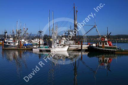 Fishing boats in the harbor at Yaquina Bay, Newport, Oregon, USA.