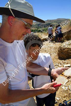 Father and son searching for fossils behind Wheeler High School at the only public fossil field in the united states located at Fossil, Oregon, USA. MR