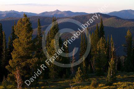 View from the summit of Green Mountain along the historic Magruder Corridor road that devides the Frannk Church-River of No Return Wilderness Area and the Selway-Bitterwoot Wilderness in Idaho, USA.