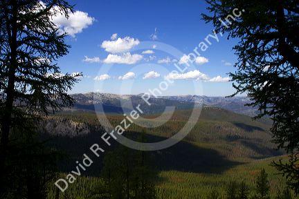 Overlooking the Frank Church-River of No Return Wilderness Area along the historic Magruder Corridor road that devides the Frannk Church-River of No Return Wilderness Area and the Selway-Bitterwoot Wilderness in Idaho, USA.