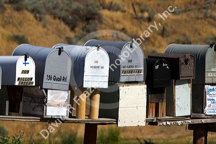 Mailboxes lined up for the delivery of mail in a rural area near Challis, Idaho, USA.