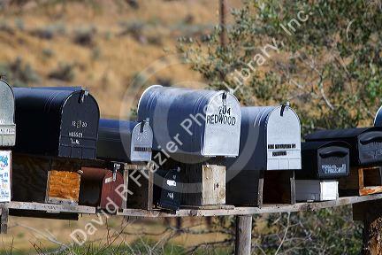 Mailboxes lined up for the delivery of mail in a rural area near Challis, Idaho, USA.