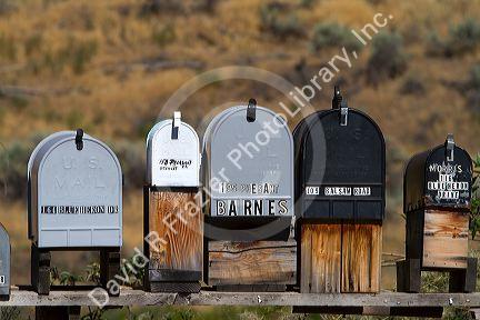 Mailboxes lined up for the delivery of mail in a rural area near Challis, Idaho, USA.