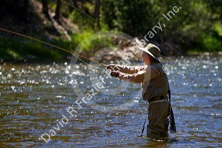 Fly fishing the Salmon River near Stanley, Idaho, USA.