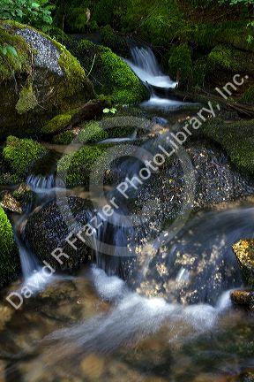 Fresh water stream along the historic Magruder Corridor road that devides the Frannk Church-River of No Return Wilderness Area and the Selway-Bitterwoot Wilderness in Idaho, USA.