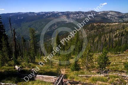 Overlooking the Frank Church-River of No Return Wilderness Area along the historic Magruder Corridor road that devides the Frannk Church-River of No Return Wilderness Area and the Selway-Bitterwoot Wilderness in Idaho, USA.